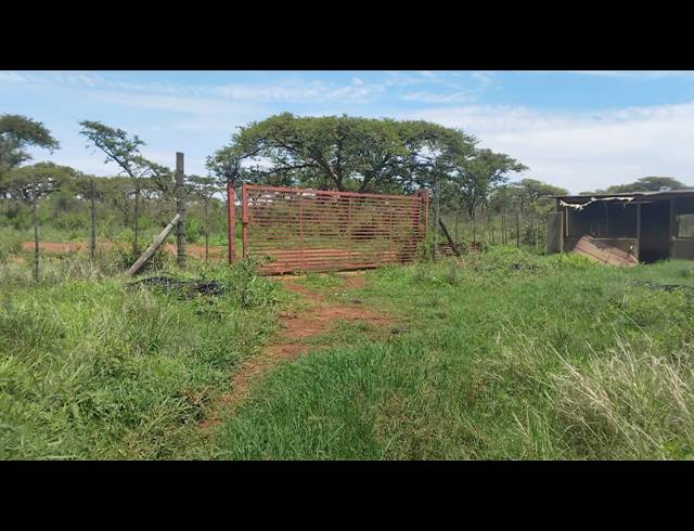 5HA FARM FOR SALE IN ELIM